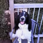 Stephen Dyson - Facebook