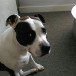 Stephen Dyson - @dyson_jd - Instagram