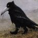 Stephen Eades - Facebook