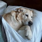 Stephen Eason - @stephensc61 - Instagram