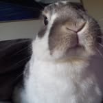 Stephen Easter - @ezy_mov - Instagram