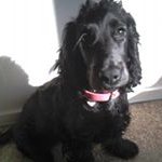 Stephen Ede - @stephen.ede1 - Instagram