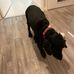 Stephen Ede - Facebook