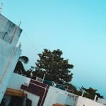 Stephen Eden - @bariya_king_900 - Instagram