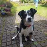 Stephen Edgar - @sedgar85 - Instagram