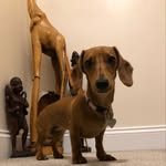 stephen eley - @eley1968 - Instagram