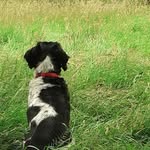 Stephen Eley - @steveeley50 - Instagram