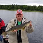 Elwood Stephens - @elwoodstephens - Instagram