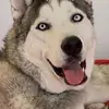 stepheneely - @saganhusko - TikTok