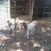 Steven Emert - Facebook