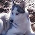 Steve Ervin - Facebook