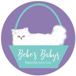 Stephen Everitt - @bebesbabyspersian - Instagram