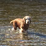 Stephen Everson - @stephen_everson78 - Instagram
