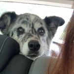 Lisa Stephens faircloth - @lisastephensfaircloth - Instagram