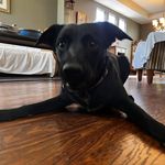 Stephen Fairless - @sfairless97 - Instagram