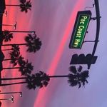 Stephen Falconer - @falconer.stephen - Instagram