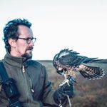 Stephen Lea - @stephen_lea_falconer - Instagram