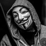 stephen fallis - @stephenfallis - Instagram