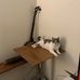 Steve Fanale - Facebook
