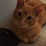 Stephen Farthing - @stephenfarthing1 - Instagram