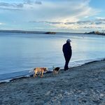 Stephen Fearon - @stephenfearon - Instagram