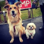 Stephen Featherstone - Facebook