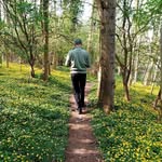 Stephen Featherstone - @safgrantham1 - Instagram