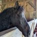 Stephen Fedak - Facebook