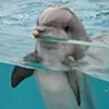 Stephen Federico - @stephen.federico01 - TikTok