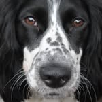 Stephen Fenwick - @stephen.fenwick.14 - Instagram