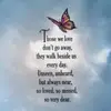 stephenfenwick2950 - @stephenfenwick2950 - TikTok