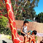 Stephen Ferrer - @stephenferrer78 - Instagram