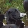 stephen_fett_yo - @stephen_fett_yo - TikTok