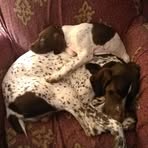 Stephen M Feulner - Facebook