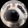 stephenfinson - @stephenfinson - TikTok
