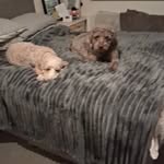 Stephen Fitzpatrick - @stephenfitzpatrick87 - Instagram