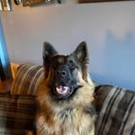 Stephen Fitzpatrick - @stephen.fitzpatrick.100 - Instagram
