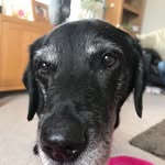 Stephen Fitzsimons - @barneyfitz28 - Instagram