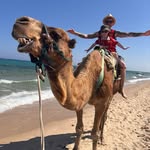 Stephen Fitzsimons - @stephen.fitzsimons.12 - Instagram