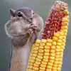 stephen fitzsimons - @stephen.fitzsimon4 - TikTok