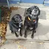 stephenfix815 - @stephenfix815 - TikTok