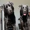Steffen Flach - @steffen.flach - TikTok