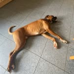 Stephen Flaherty - @stephenfla06 - Instagram