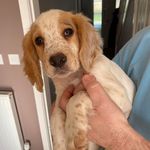 Stephen Flaherty - @stephen.flaherty.7 - Instagram