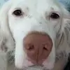 stephen.flaherty22 - @stephen.flaherty2 - TikTok