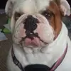Stephen Flanders825 - @stephenflanders82 - TikTok