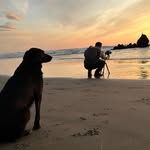 Stephen Flock - @flockka_ - Instagram