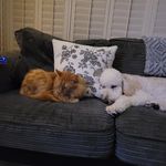 Stephen Folan - @stephen_folan - Instagram