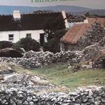 Stephen Folan - @stephen.folan.1694 - Instagram