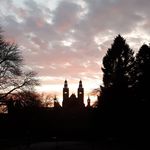Stephen Forcer - @stephen.forcer - Instagram